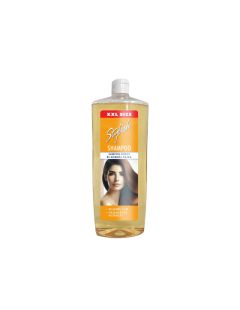 Stylish šampon pro normální a mastné vlasy 1000 ml