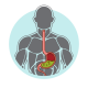 Reflux